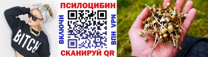 Галлюциногенные грибы ЛСД  Купить где  Бокситогорск 